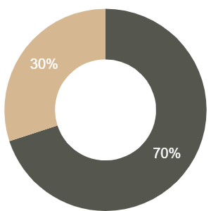 Elite Balanced Fund Chart